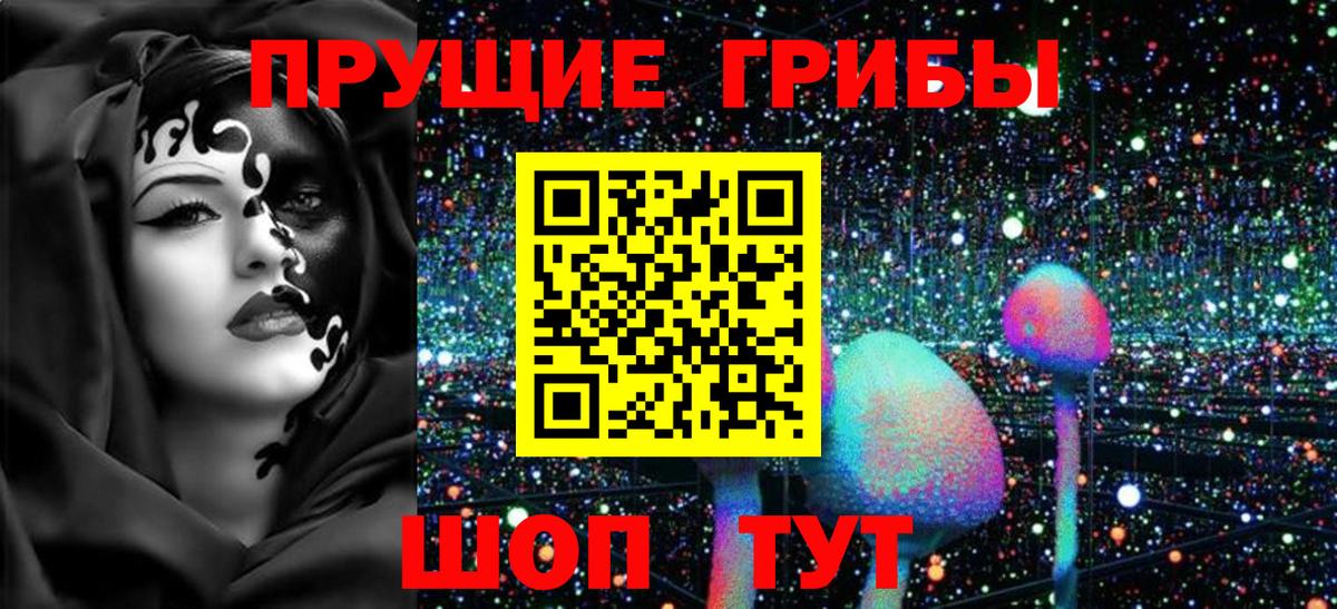 Псилоцибиновые грибы мицелий  Вход с VPN  Карачаевск 